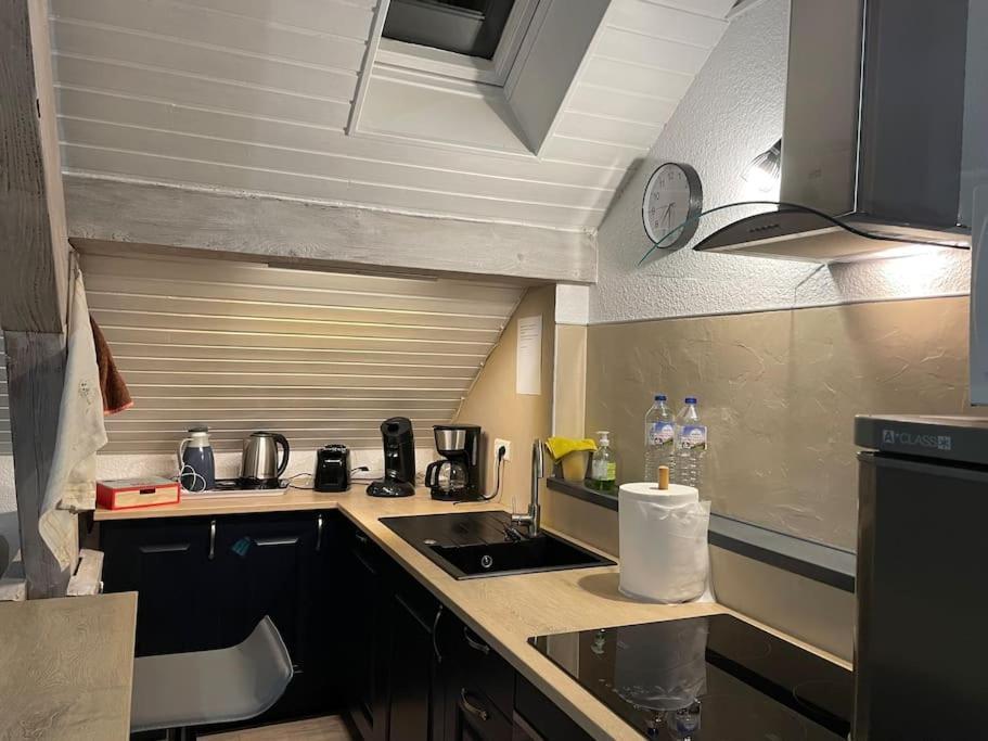 Loft Avec Jardin Daire Corcieux Dış mekan fotoğraf